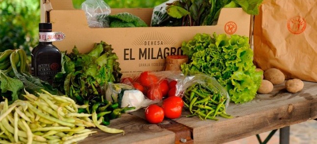 Cesta Grande de La Dehesa del Milagro