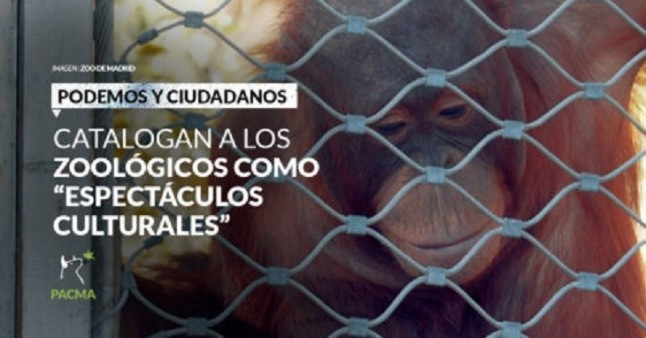 La poca vergüenza de Podemos y Ciudadanos al catalogar a los zoológicos como Espectáculos Culturales