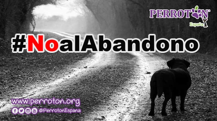 Campaña de concienciación ciudadana contra el abandono animal que realiza Perrotón España