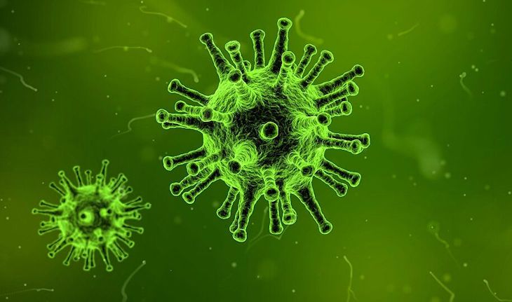 COVID-19: El presidente del CDR reclama un nuevo Mecanismo de Emergencia Sanitaria de la UE para apoyar a las regiones y ciudades