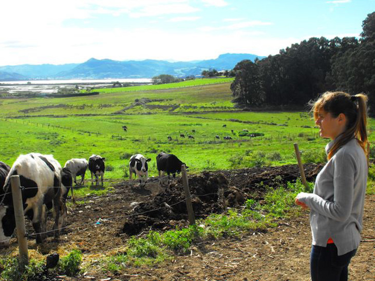 El sector ecológico a ‘hombros’ de la mujer