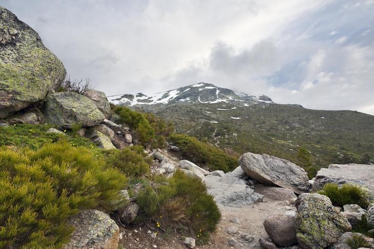 La Sierra de Guadarrama reanuda su actividad ecoturística