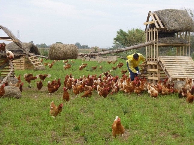 Cantabria apuesta fuerte por la producción ecológica