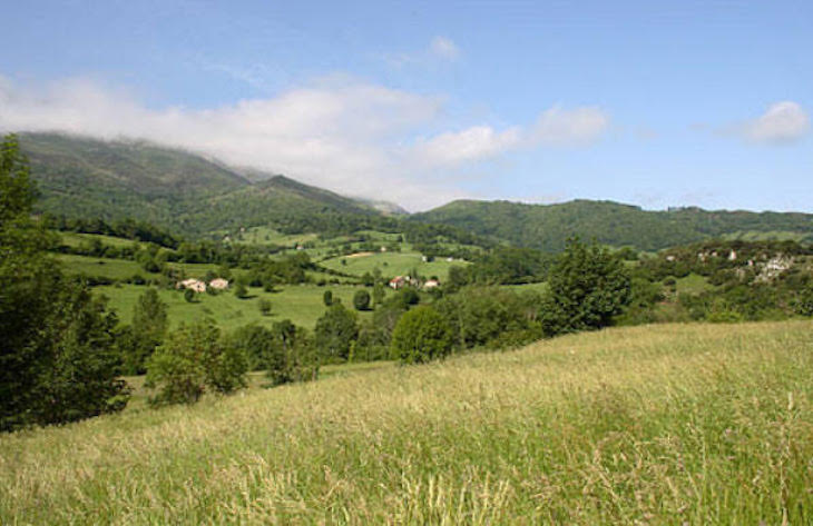 La ‘excelente’ producción ecológica en Asturias