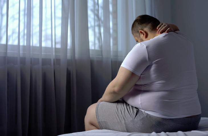 Antioxidantes para las alteraciones cardiacas por obesidad