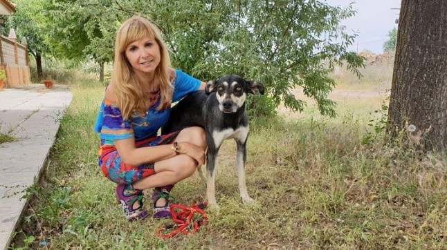 Perrotón lanza una campaña para promover los perros sin raza