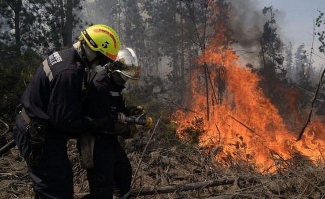 Tecnología verde para predecir el riesgo de incendios forestales con meses de antelación