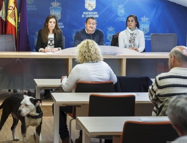 El centro de acogida de animales de Guadalajara superado