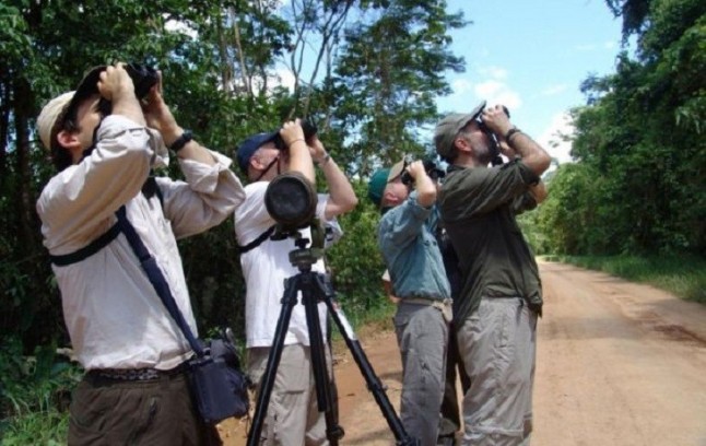 SEO/BirdLife lanza un código ético para la observación de aves en el que pide proteger su hábitat en el Día del Turismo
