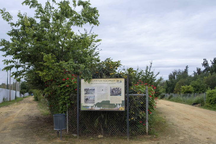 Los huertos sociales de San Jerónimo (Sevilla)