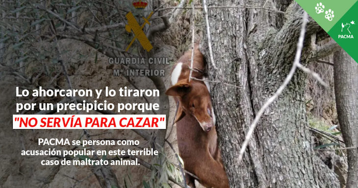 Cazadores ahorcaron y arrojaron por un barranco a un perro en Almogía porque ya no servía para cazar