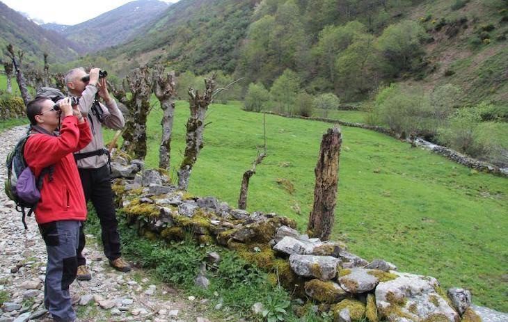 Cangas del Narcea aplaza para 2021 la XXIII edición de la feria Narcenatur