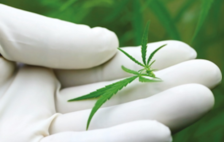 Enecta presenta diversos productos naturales de CBD para ayudar a combatir la ansiedad de manera segura y eficaz.