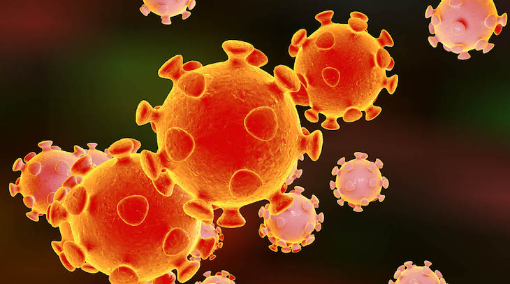 España debe y puede ‘aportar’ medios humanos y materiales por el ‘coronavirus’