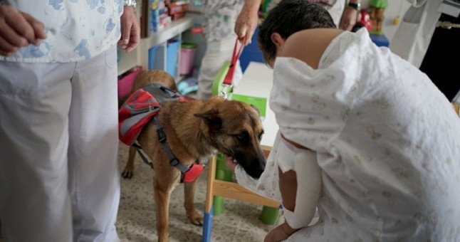El Hospital Puerta del Mar de Cádiz arranca un programa de visitas animales