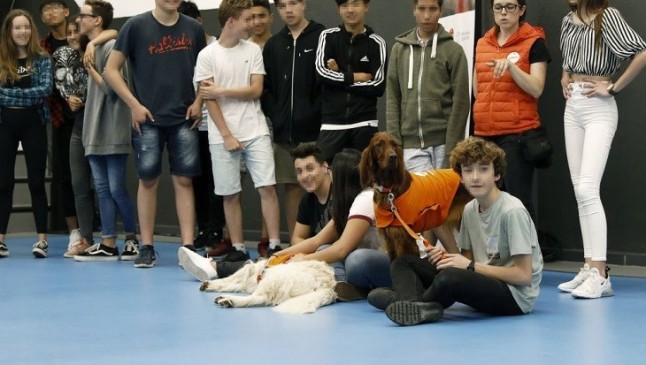 La escuela Lleó XIII arranca un programa para prevenir el bullying mediante terapia con perros