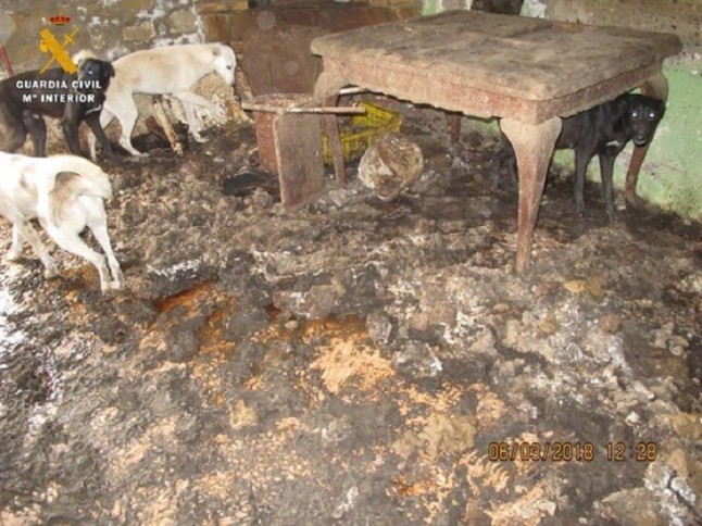 En Piedratajada suma y sigue el maltrato animal