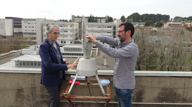 Se prevén niveles de polen altos y avanzados para esta primavera