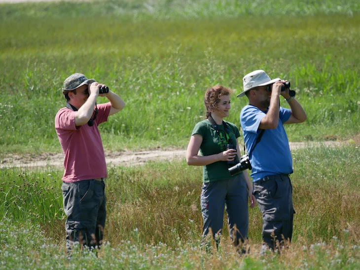 Ecoturismo de la mano de iberaves y SEO/BirdLife