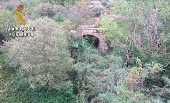 Investigado un energumeno por tirar a un cachorro mastín de tres meses por un puente en Jérica
