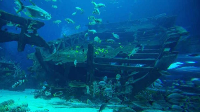 Canarias. Ecoáreas Mar de Todos