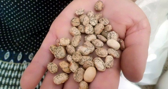 Los proyectos agroecológicos españoles y el insuficiente apoyo institucional