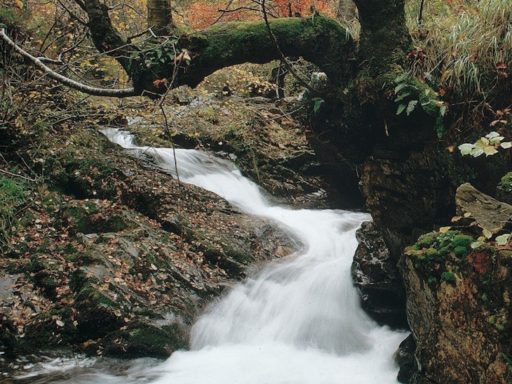 Consorcio de Aguas de Asturias