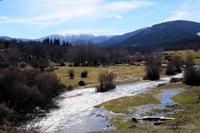 Excursión Los paisajes del Agua en los montes de Valsaín (Segovia)