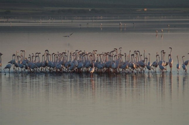 Actividades ecoturísticas en espacios naturales andaluces para el mes de abril