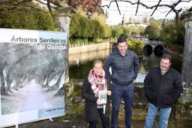 Galicia presenta la primera guía de viajes sobre árboles singulares