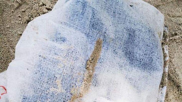 Ahogamiento intencionado de varios perros por parte de algún desaprensivo