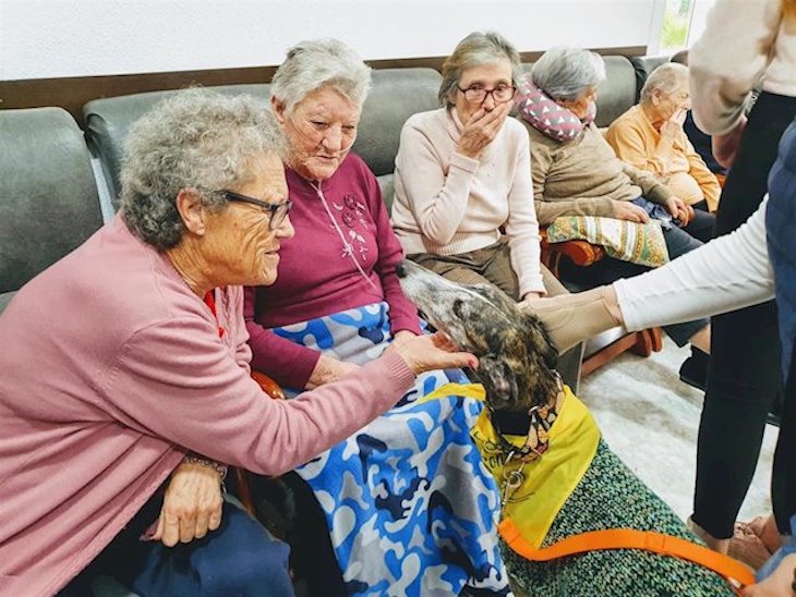 Los mayores de la residencia de Montijo reciben la visita de perros para amenizar su estancia y sacarles una sonrisa