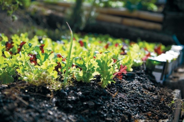 La Escuela Municipal de Agroecología Urbana de Madrid para 2019