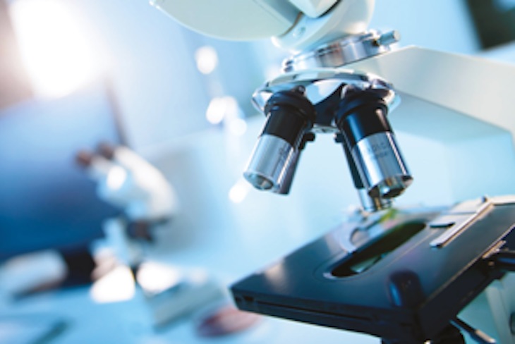 Enecta propone el aceite de CBD como tratamiento natural para tus mascotas