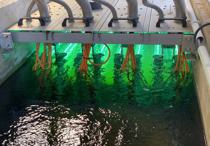 Tecnología verde para alertar del coronavirus a partir del análisis de aguas residuales