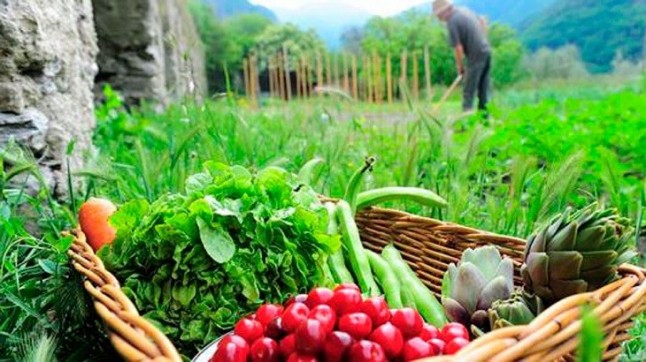 Dos investigadores de la USAL reciben el Premio Nacional en Investigación de la Producción Ecológica