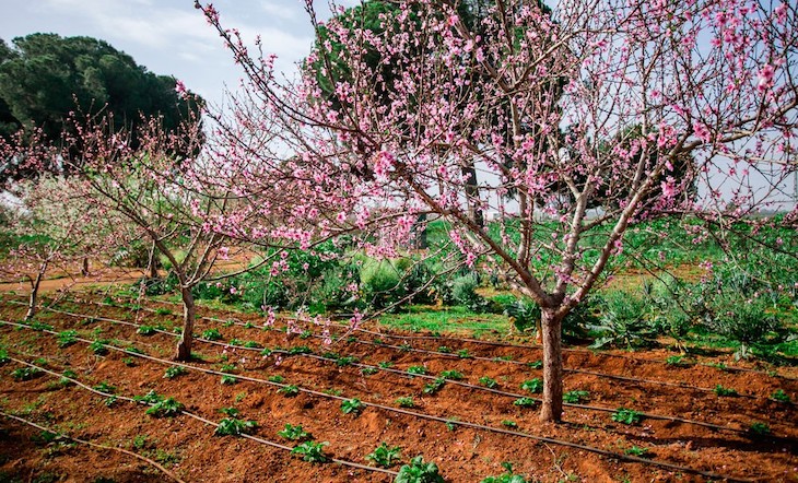 SOHISCERT nos explica las ventajas para la agricultura ecológica de las normas UNE