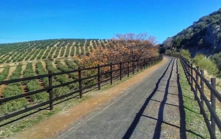 El Camino Natural del Aceite