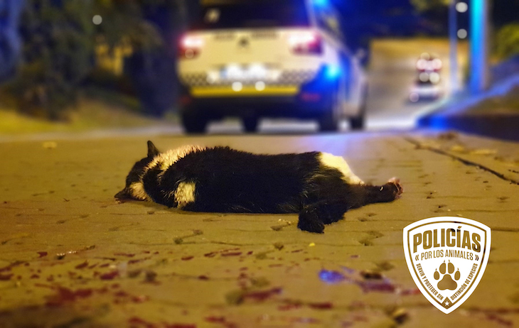 Propuestas ‘policiales’ para la modificación de la Ley para atajar los delitos contra animales