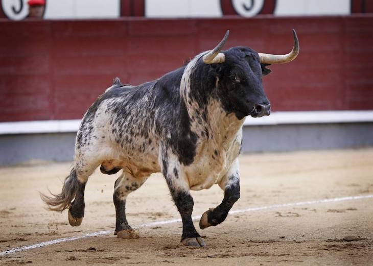 El COVID-19 en las corridas de toros
