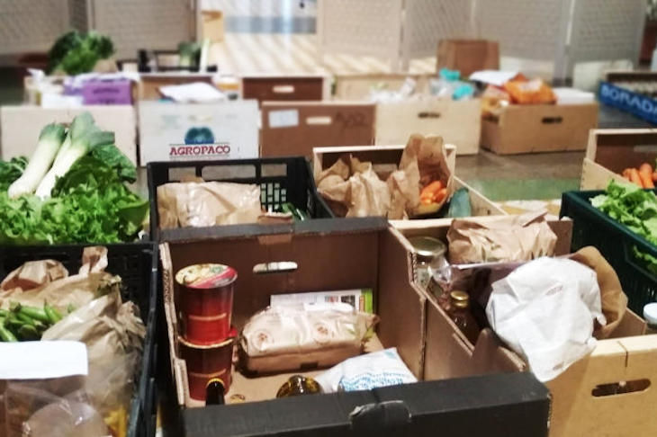 Alimentos ecológicos de Navarra