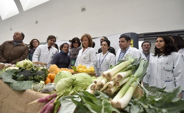 Profesionales sanitarios