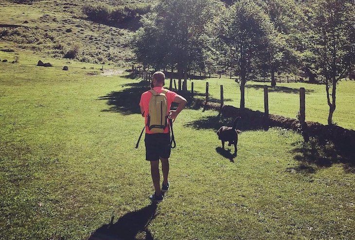 El alcalde de Cabra (Córdoba) decreta que no se pueden pasear perros a más de 200 metros de la casa