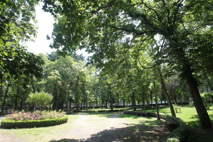 El Ayuntamiento de Pamplona propone descubrir los espacios naturales de la ciudad a través de actividades de ocio