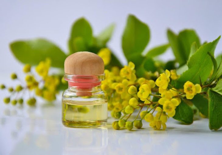 Cosmética bio: tú y el medio ambiente lo merecen