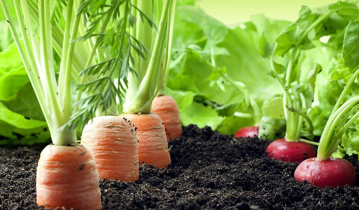 SOHISCERT y LANDALUZ colaboran para impulsar la calidad agroalimentaria