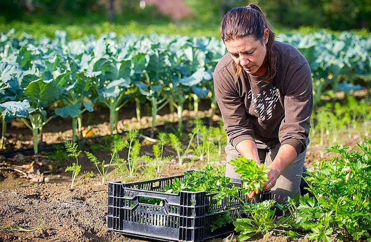 Día de Lucha Campesina
