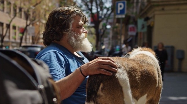 Campaña #MejoresAmigos: 10 historias reales de compañerismo entre hombre y mascota