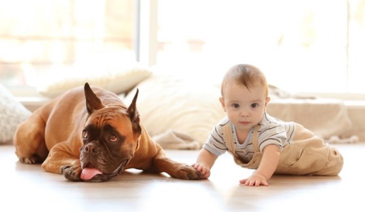 La importancia de preparar a nuestra mascota para la llegada de un bebé