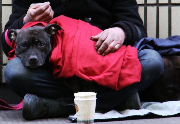 Los sin techo y sus animales frente al COVID-19